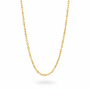 Gold oval chain necklace with smaller closer links hanging from top