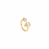 Gold ring product shot