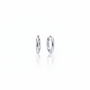 Silver huggie hoop earrings