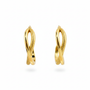 Textured gold hoops white background